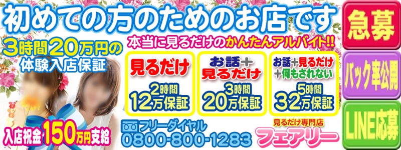 見るだけ専門店 フェアリー メイン画像