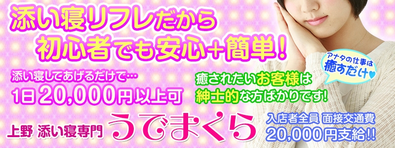 上野うでまくら メイン画像